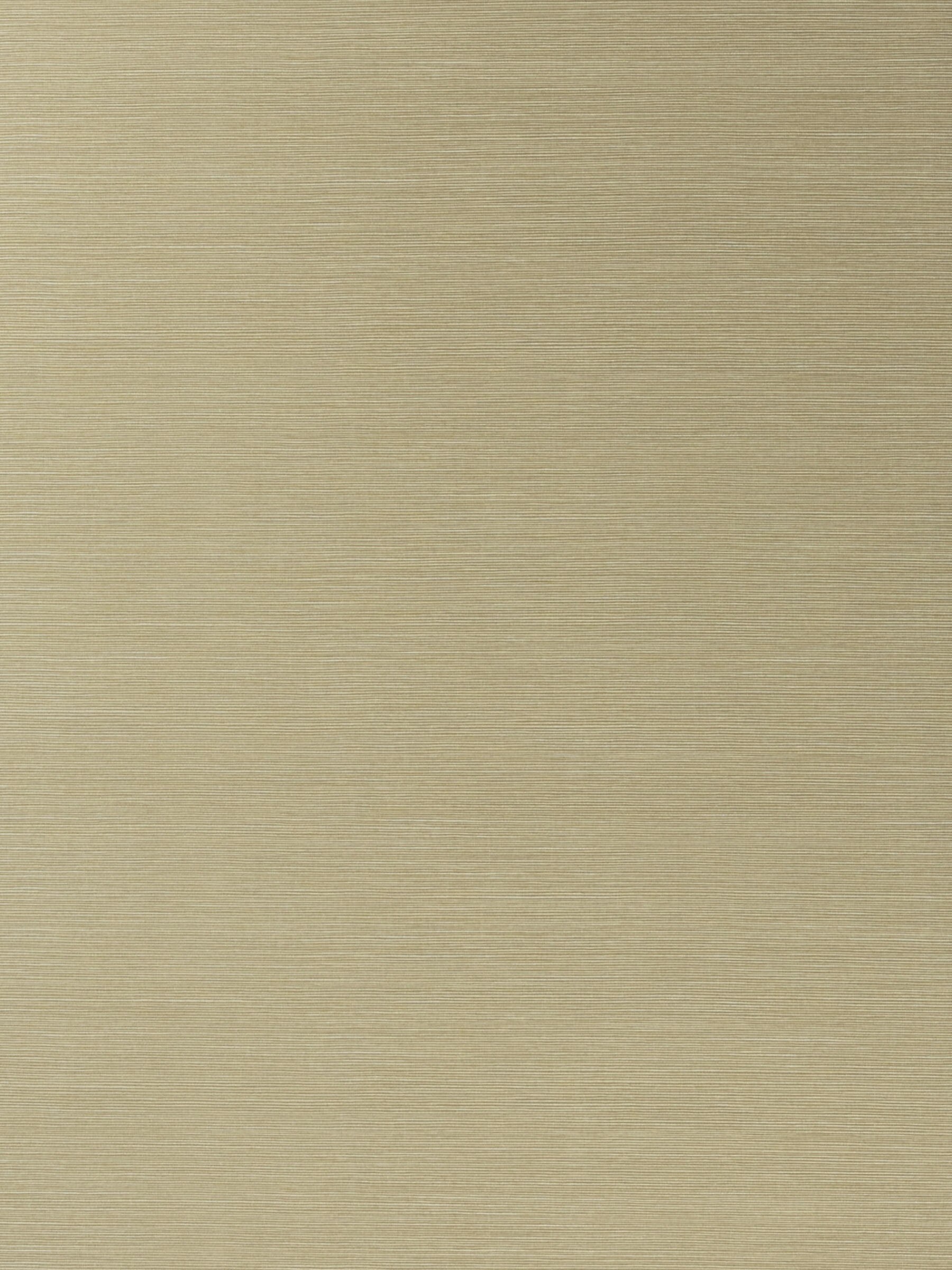 Salix Sesame 09
