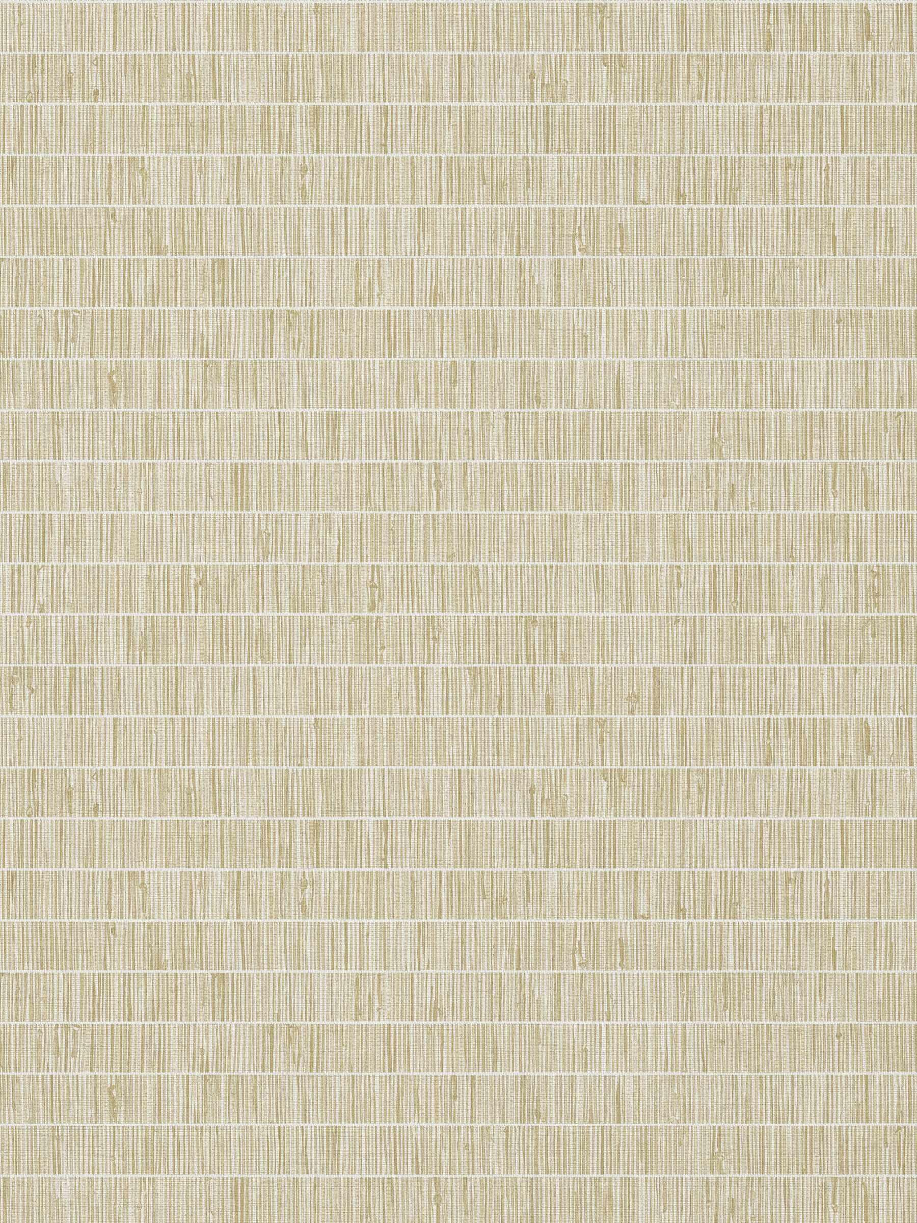 Sow 27 Corn Silk