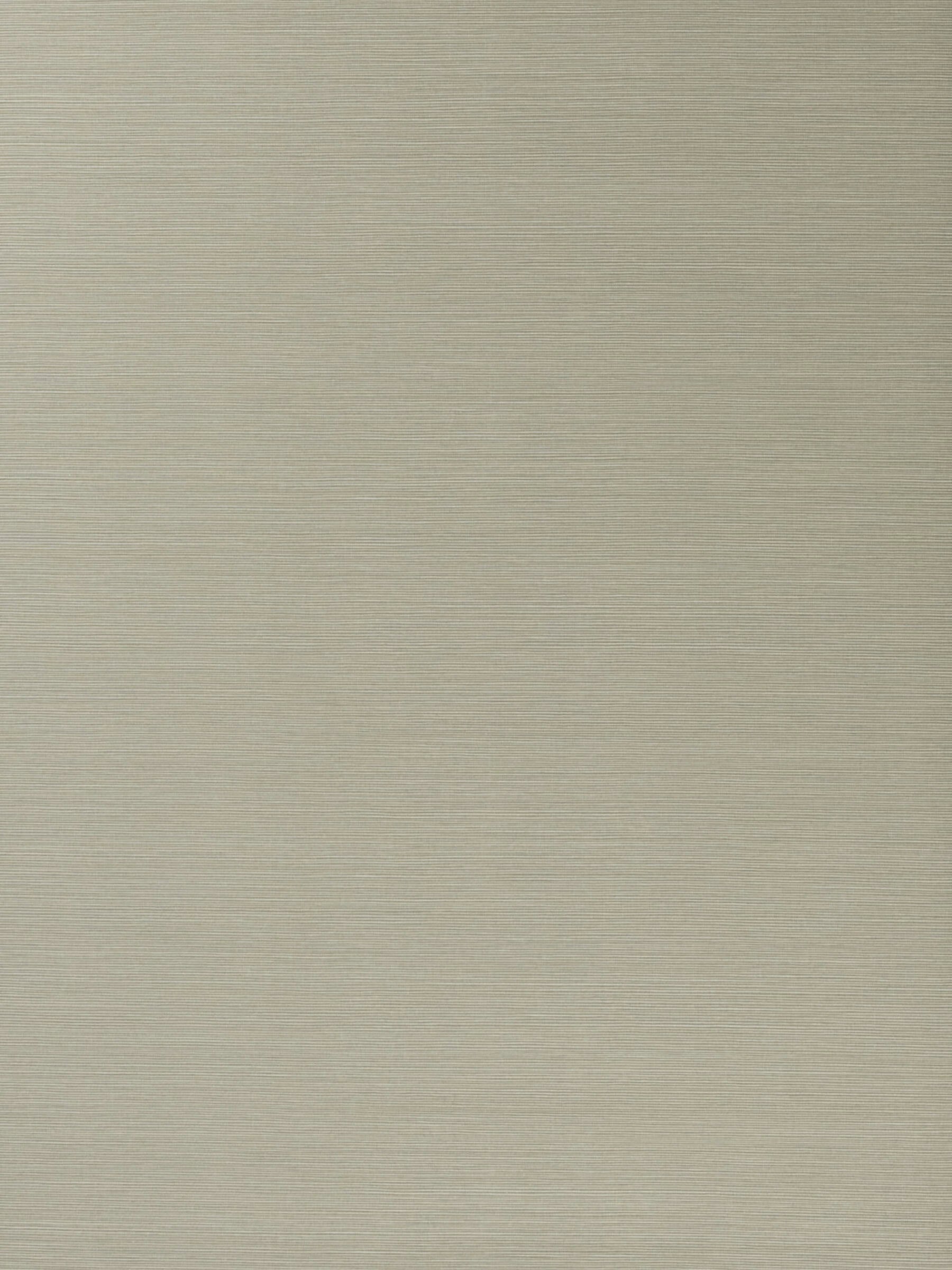 Salix Silver 15